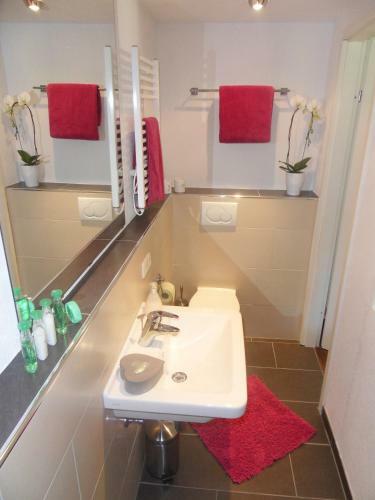 Apartamento Haus Maximilian