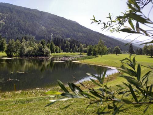 Apartamento Appartement Lungau