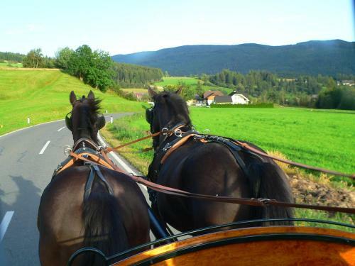 Agroturismo Gappmayrhof