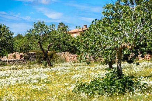 S'horta Villa Sleeps 8 Pool Air Con Wifi