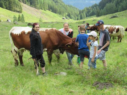Agroturismo Bio-bauernhof Auernig