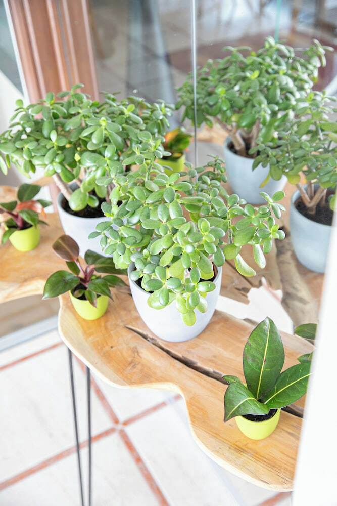 Das Reinisch - Vienna Airport Hotel