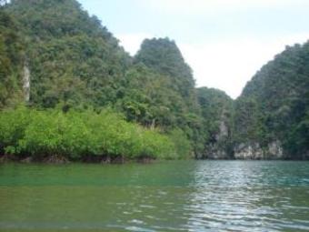 Hotel The Krabi Forest Homestay