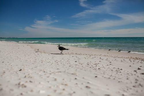 Apartamento Gulf Shore Condo #304