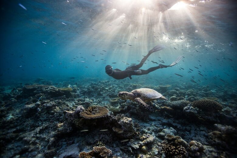 Hotel Dusit Thani Maldives