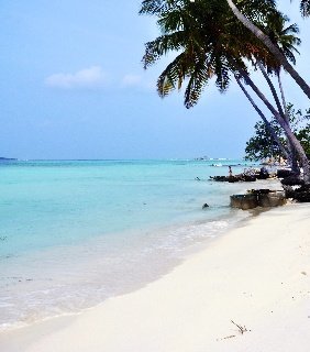Arena Lodge Maldives