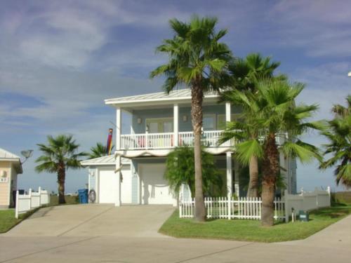 The Papaya House Rs164