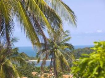 Hotel Paradise Island Estate