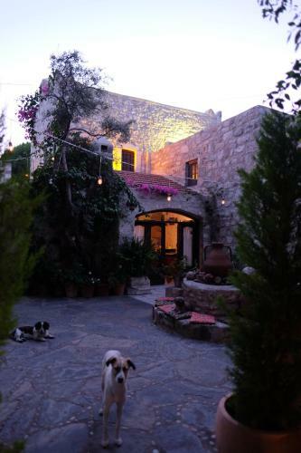 Bed & Breakfast Ha La Bodrum