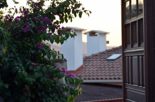 Ayasoluk Ephesus Hotel