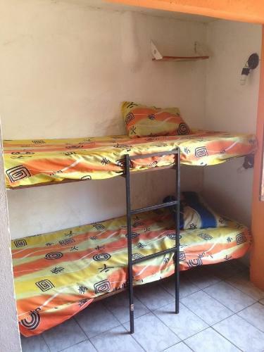 Albergue Nega Maluca Guesthouse