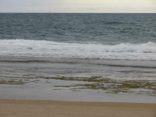 Apartamento Flats Beach Class Muro Alto