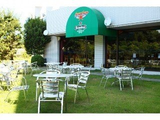 Hotel Radisson Narita