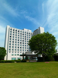 Hotel Radisson Narita