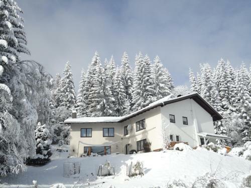 Apartamento Ferienhaus Hollinger