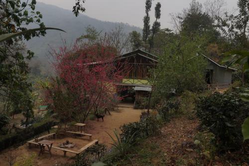 Agroturismo Tathagata Farm