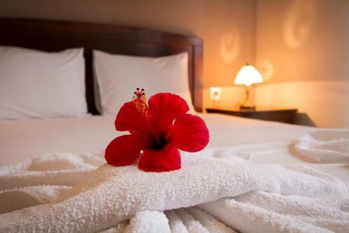 Falassarna Beach Studios & Apartments