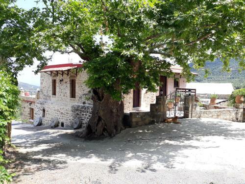 Agroturismo Traditional House Koukounara