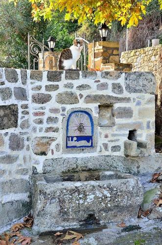 Agroturismo Traditional House Koukounara