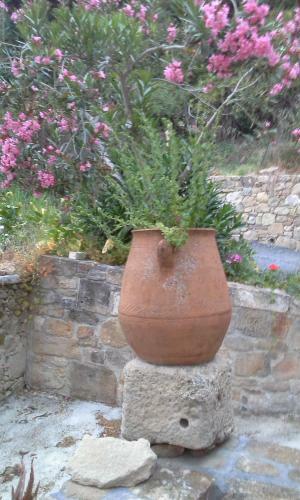 Agroturismo Traditional House Koukounara