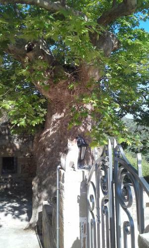 Agroturismo Traditional House Koukounara