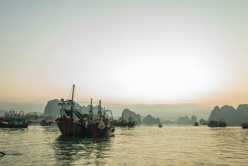 Secret Halong Cruise