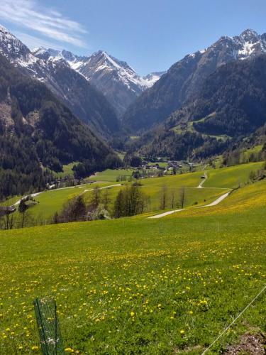 Hostal Haus Bergheimat