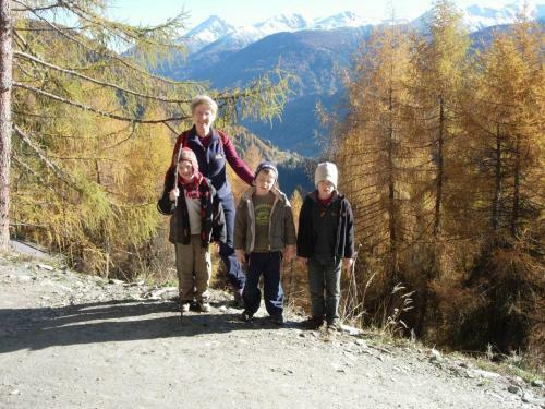 Hostal Hotel Gasthof Islitzer