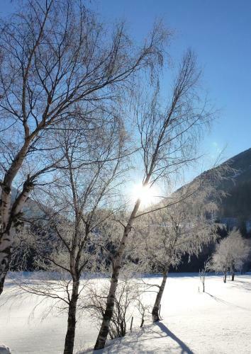 Hostal Hotel Gasthof Islitzer
