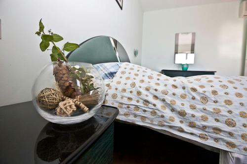 Apartments Villa Iva