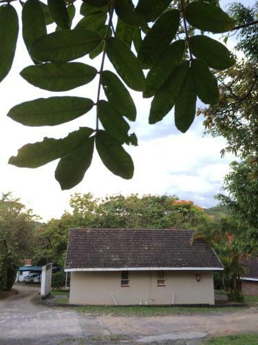 Lodge Near2numbi