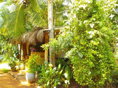Bed & Breakfast Liyana Holiday Resort