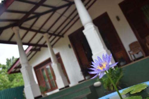 Green Palace Hotel