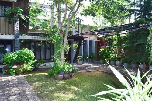 Hostal Villa Tulip Garden