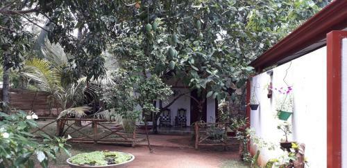 Hotel Yaluwa Tourist Rest