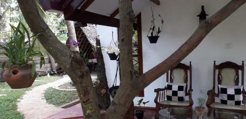 Hotel Yaluwa Tourist Rest