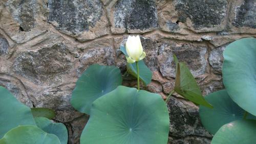 Apartamento Pearl Crown Homestay