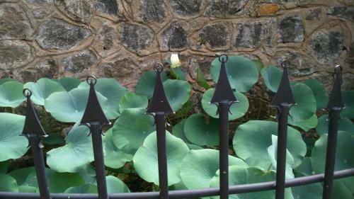 Apartamento Pearl Crown Homestay