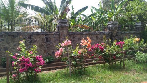 Apartamento Pearl Crown Homestay