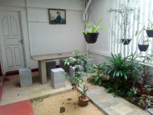 Nie Home Stay