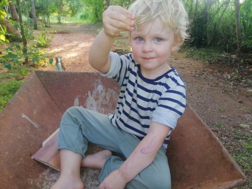 Bed & Breakfast Green Cottage