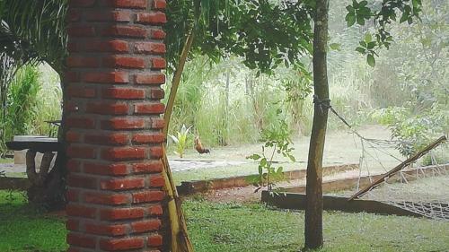 Bed & Breakfast Green Cottage