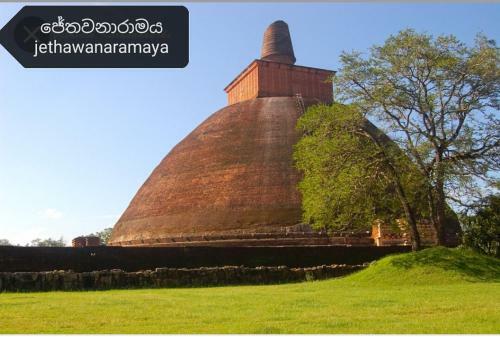 Bed & Breakfast Green Cottage