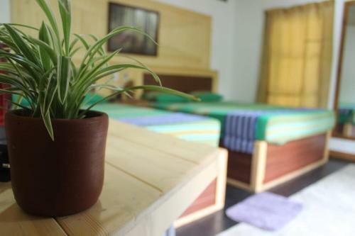 Bed & Breakfast Green Cottage