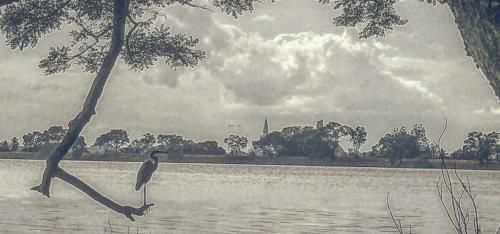 Bed & Breakfast Green Cottage