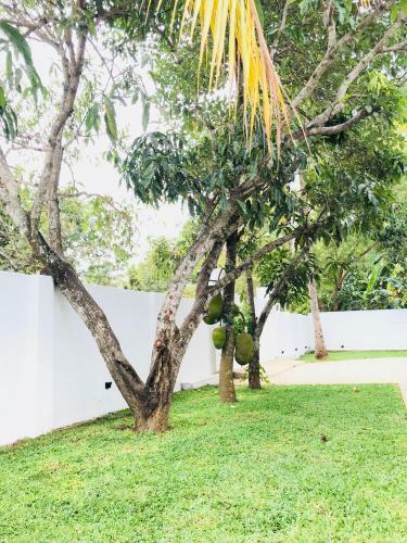 Hostal Royal White Tourist Rest