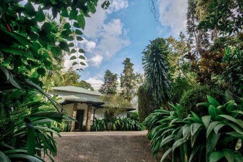 Villa Republic Bandarawela