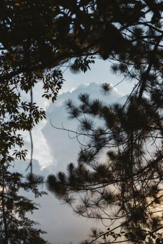 Villa Republic Bandarawela