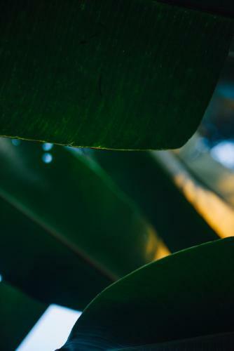 Villa Republic Bandarawela