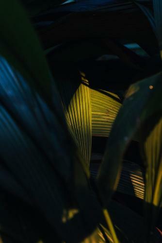 Villa Republic Bandarawela